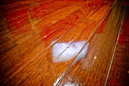 Your Jarrah Floor: Tips to Preserve the Luster and Finish