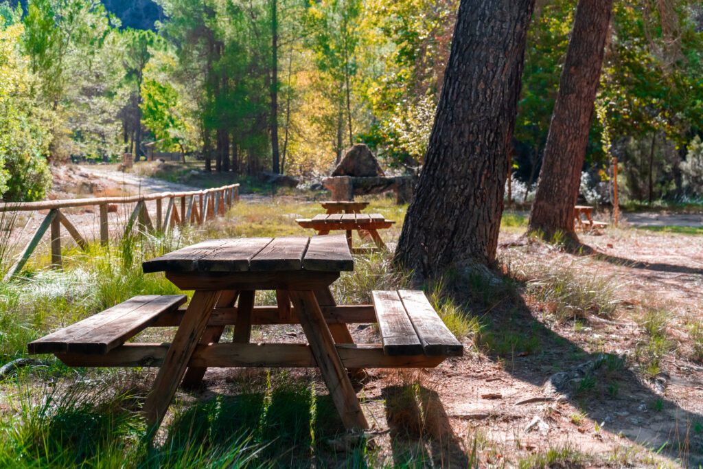 wooden bench in a picnic area