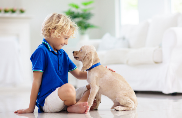 Child petting their dog